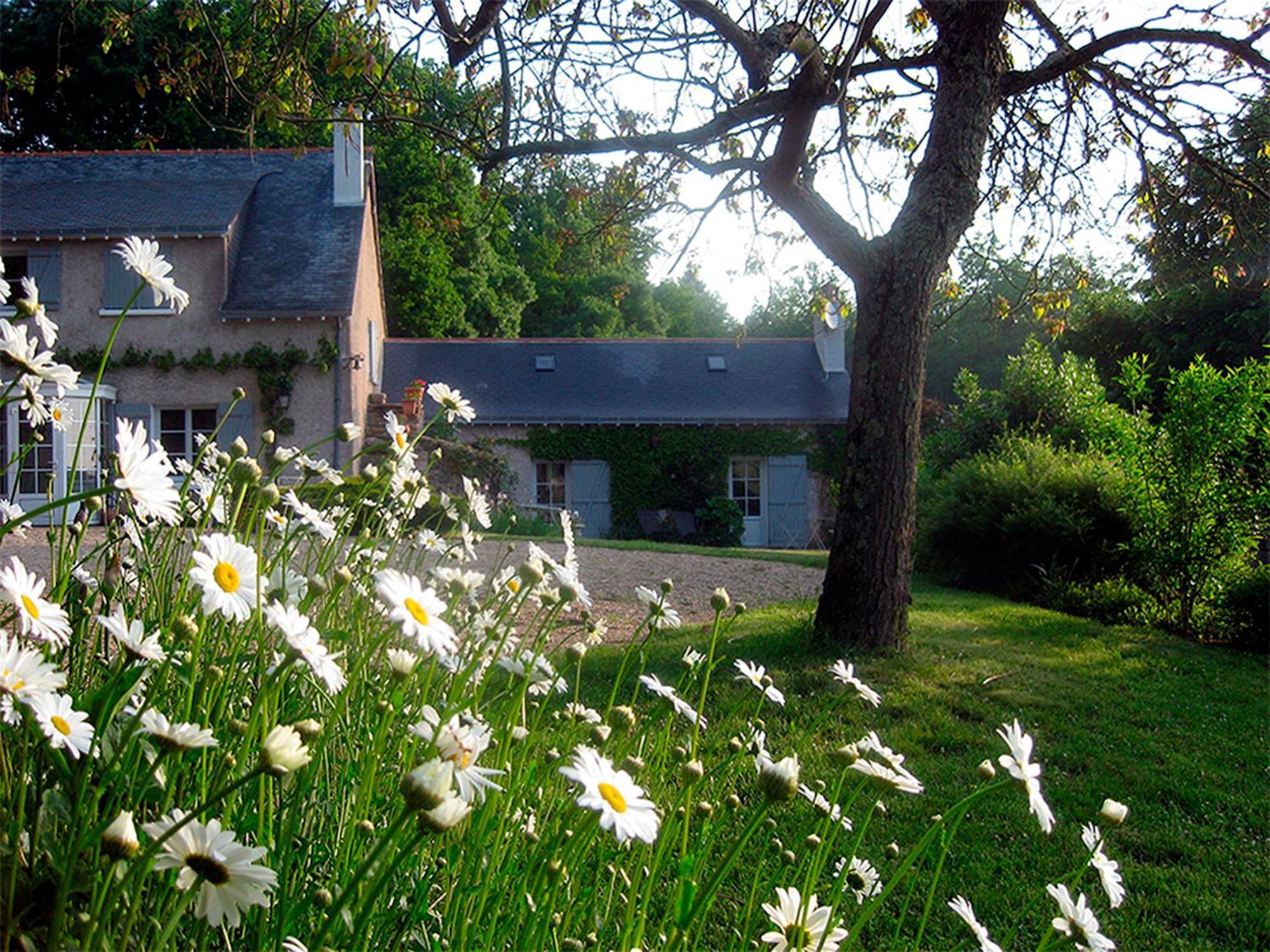 La Butte De Gohier Bed & Breakfast Blaison Exterior photo